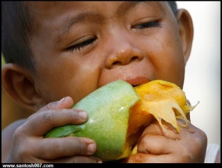 Funny Kid with Mango